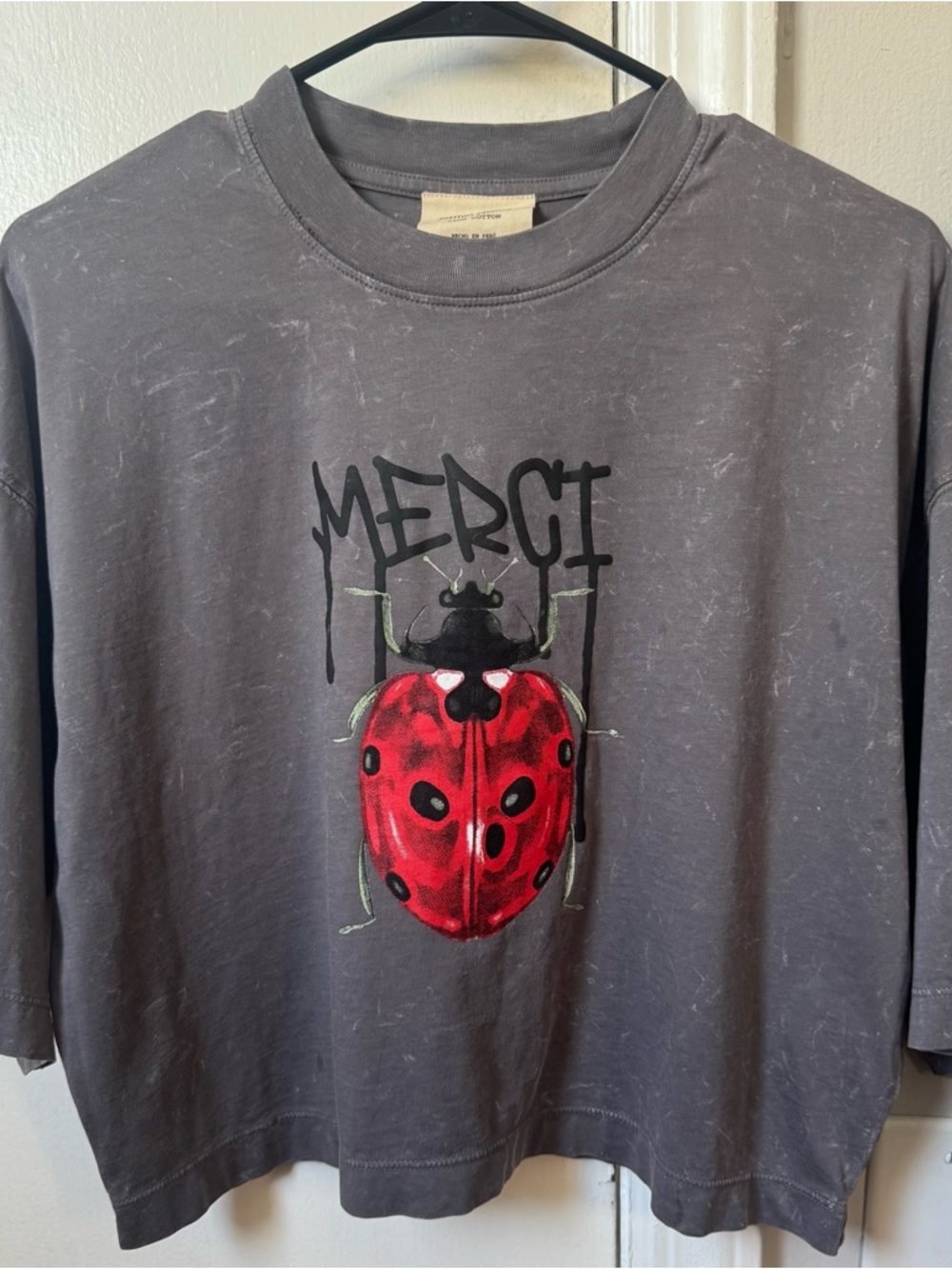 Merci Ladybug Graphic Tee - Charcoal with Red